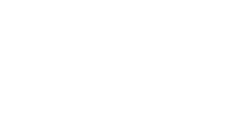 Logo-Snacks-el-Valle